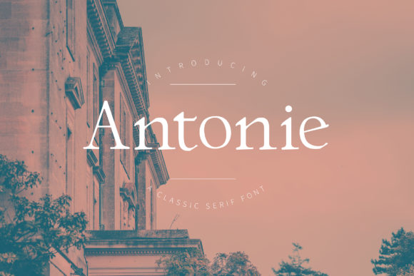 Antonie: A Timeless Serif for Editorial Design