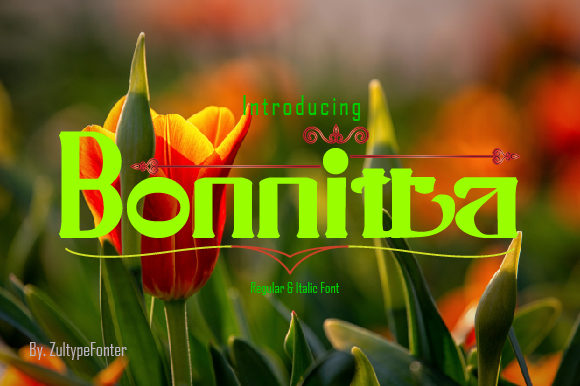 Bonnitta Typeface: Elevating Editorial Design and Brand Identity