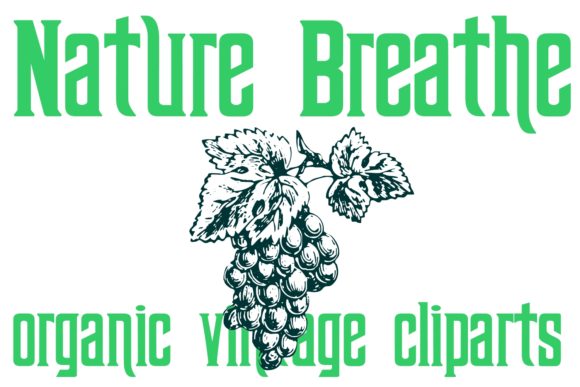 Nature Breathe: A Creative Dingbats Font for Organic Branding